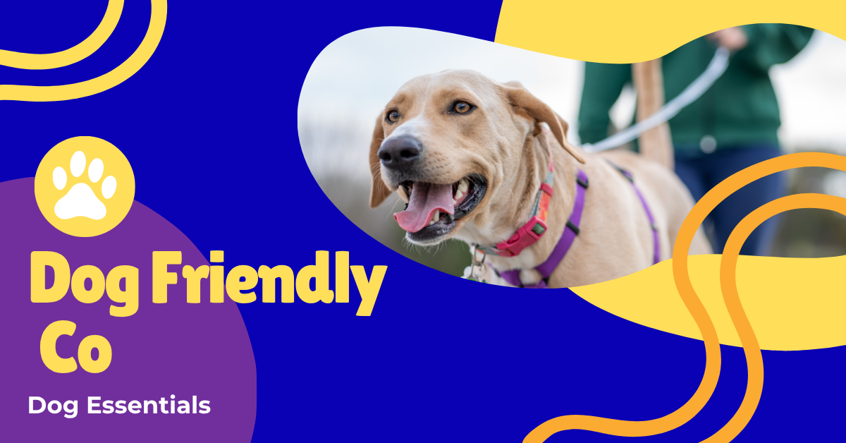 Dog Friendly Co