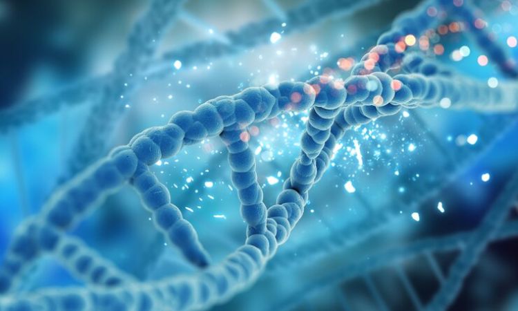 Genetics-Cover
